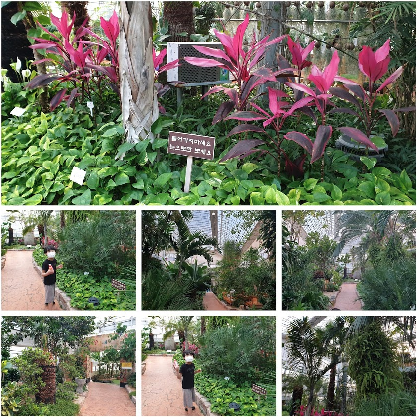 바오밥식물원베이커리카페 후기