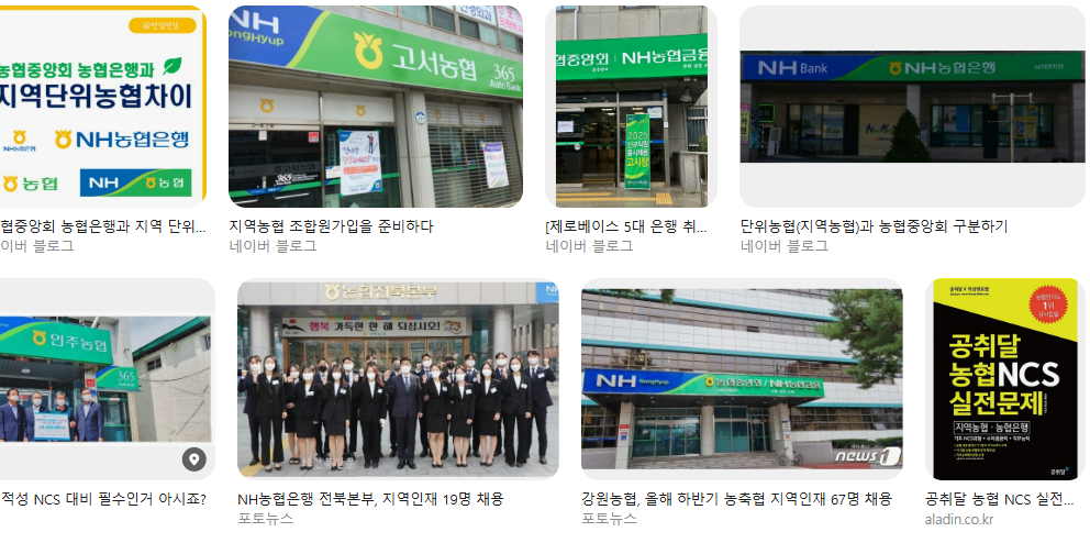 농협은행과 지역농협(농축협) 뭐가 달라요? 계좌·수수료·예금자보호·연봉 비교