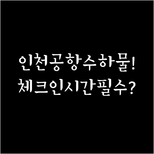 인천공항 필리핀항공 수하물 규정과 체..
