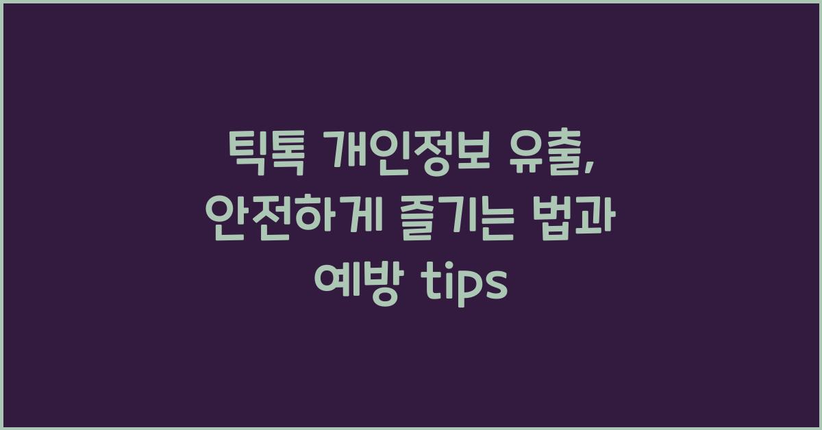 틱톡 개인정보 유출