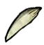 왈루스 상아
