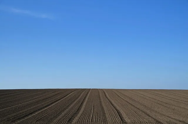 구약성경 순서 연대기 개론 약자 요약 분류 읽기 역사 목록 안내_7