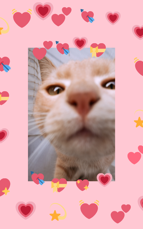 카톡 배경화면 사진 이미지