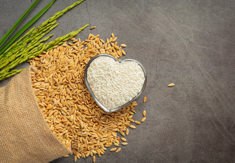 현대인에게 부족한 필수 영양소 & 보충 방법