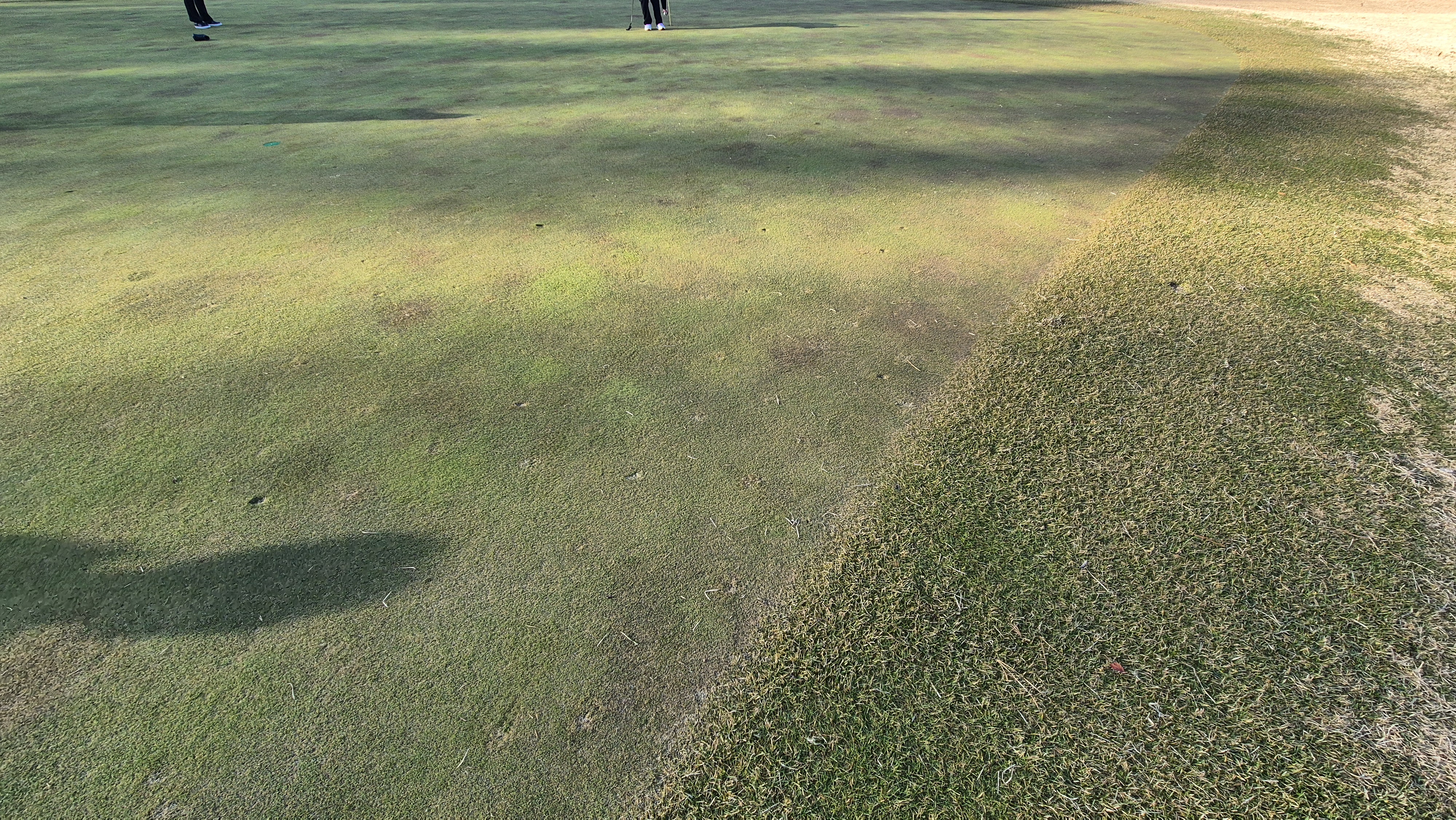 88cc 서코스 그린관리상태