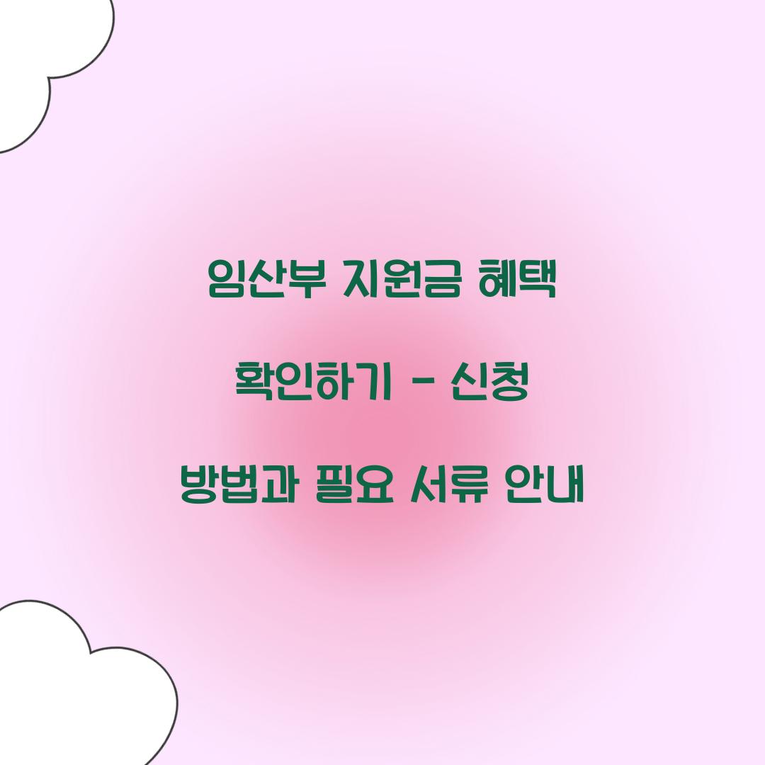 임산부 지원금