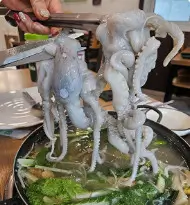 오늘N 식큐멘터리 수원 팔달구 낙지 맛집