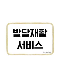 발달재활서비스 바우처