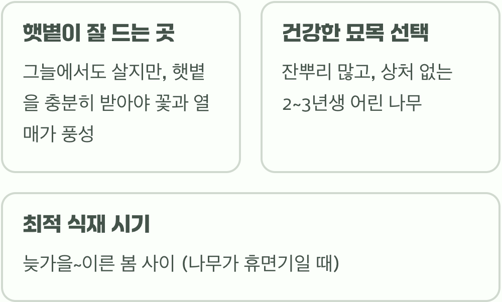 첫 단추, 건강한 묘목과 햇살 가득한 자리