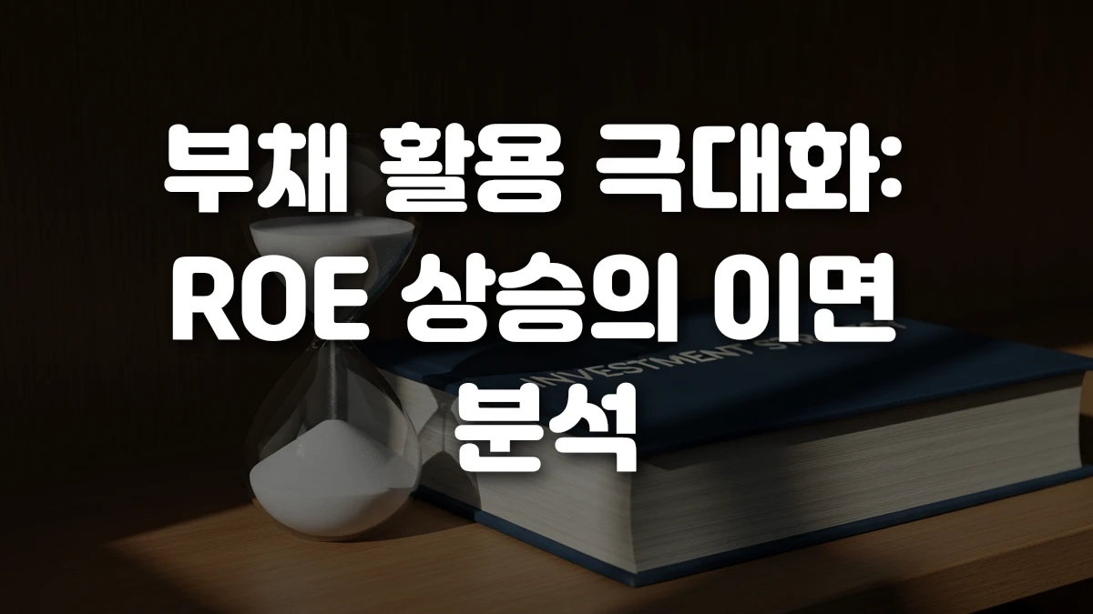 부채 활용 극대화 ROE 상승의 이면 분석