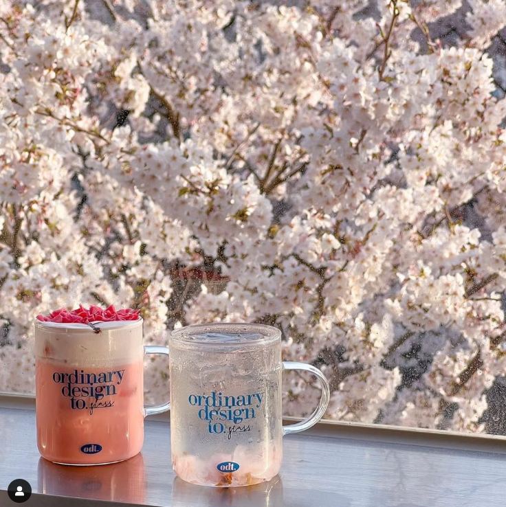 합정-망원-숨은-감성-벚꽃-카페-7-인스타-위치-예약-주차