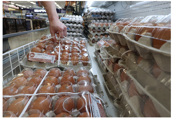 식품 사막화 탈출(축산물 차량판매, 농협 운영, 법 개정)