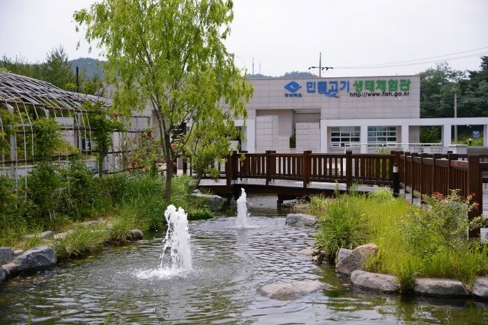 울진 성류굴 입장료 운영시간