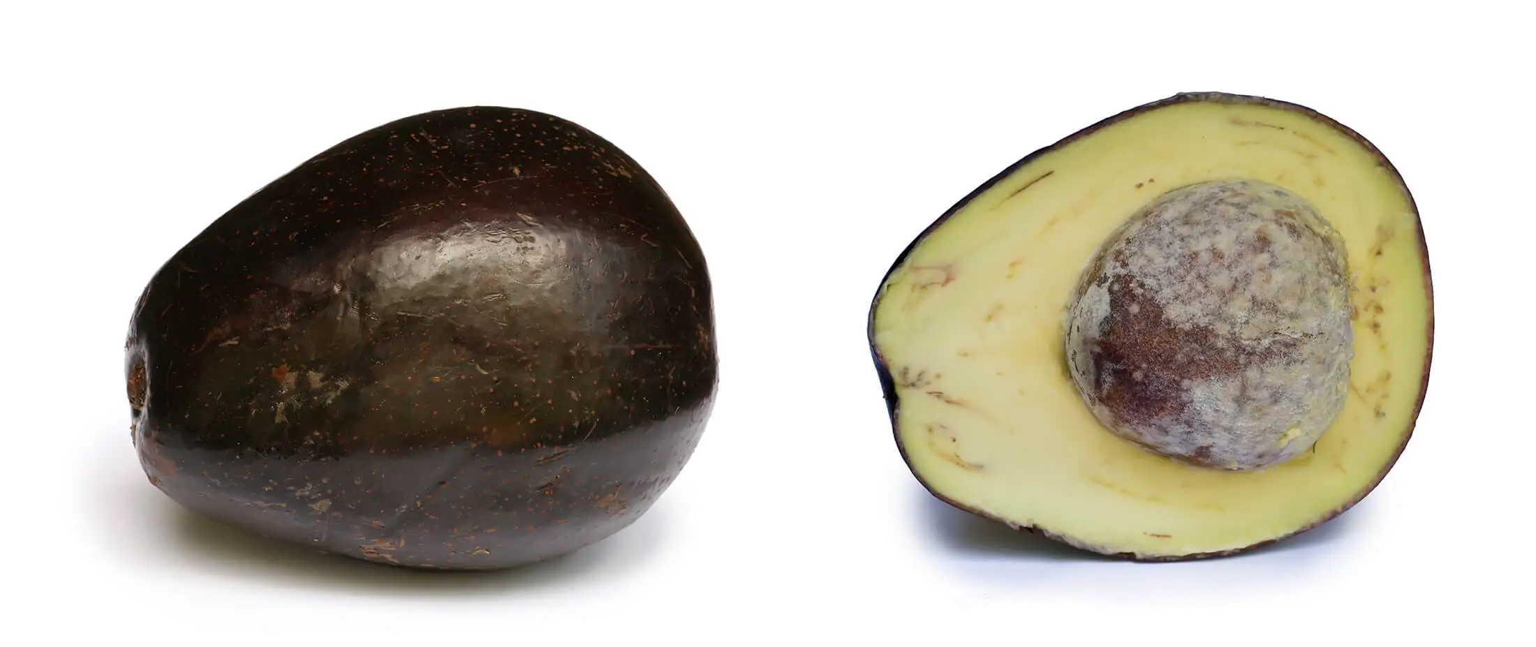 Avocado with cross section