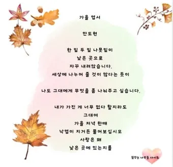 가을 시 모음 5편 추천 선별_31