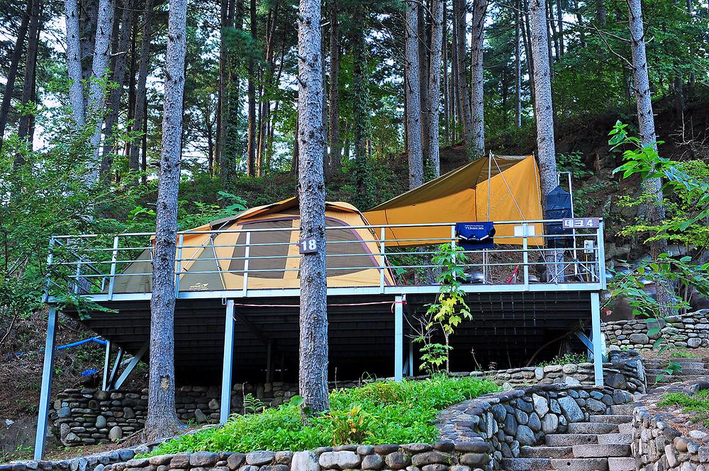 수목원프로방스캠핑장. 경기 포천시 신북면 탑신로 1066