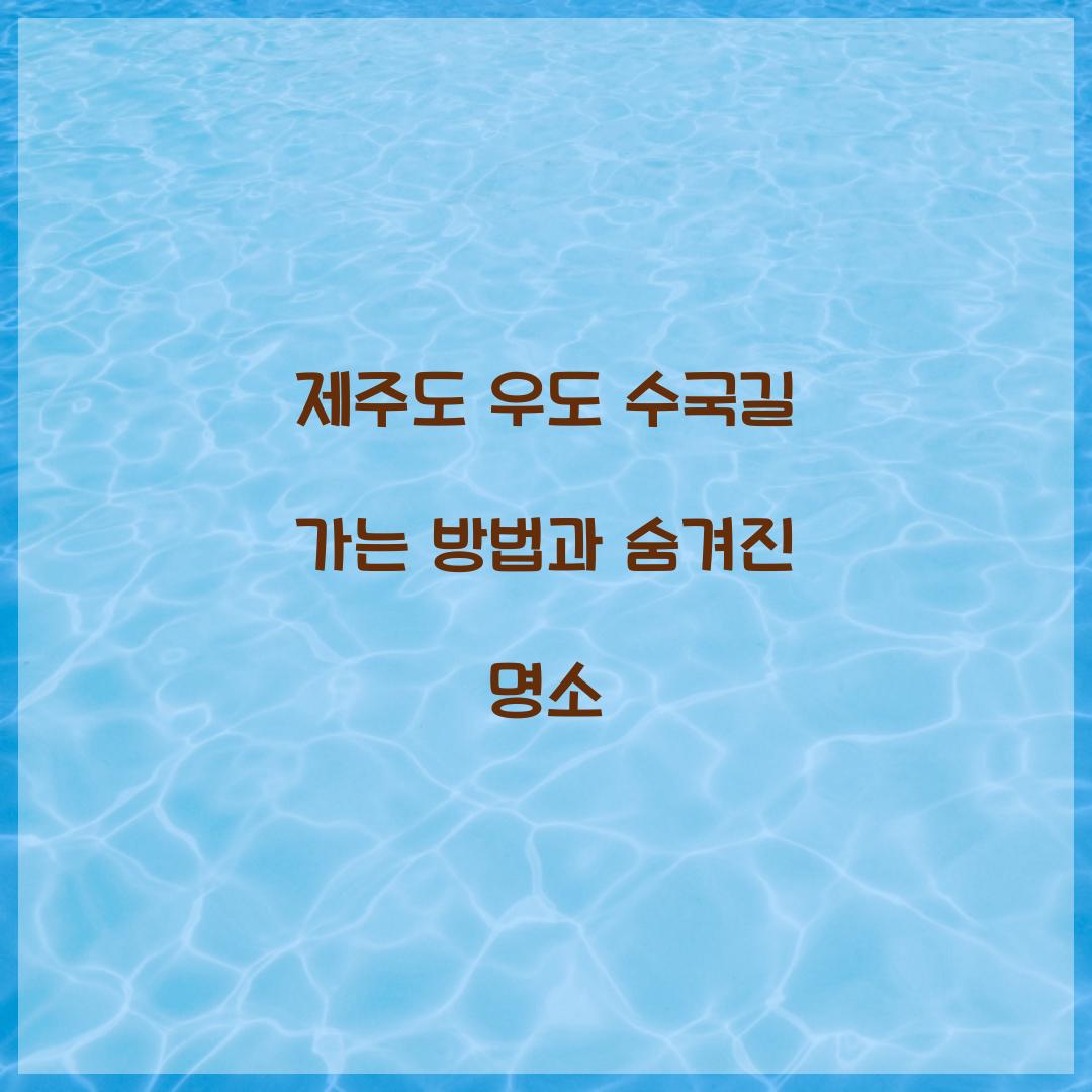 제주도 우도 수국길