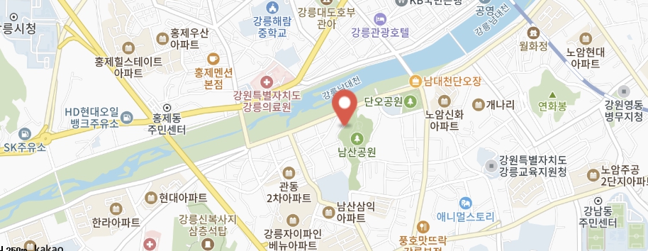 강릉 남산공원 계단에 만개한 화사한 분홍빛 벚꽃 터널