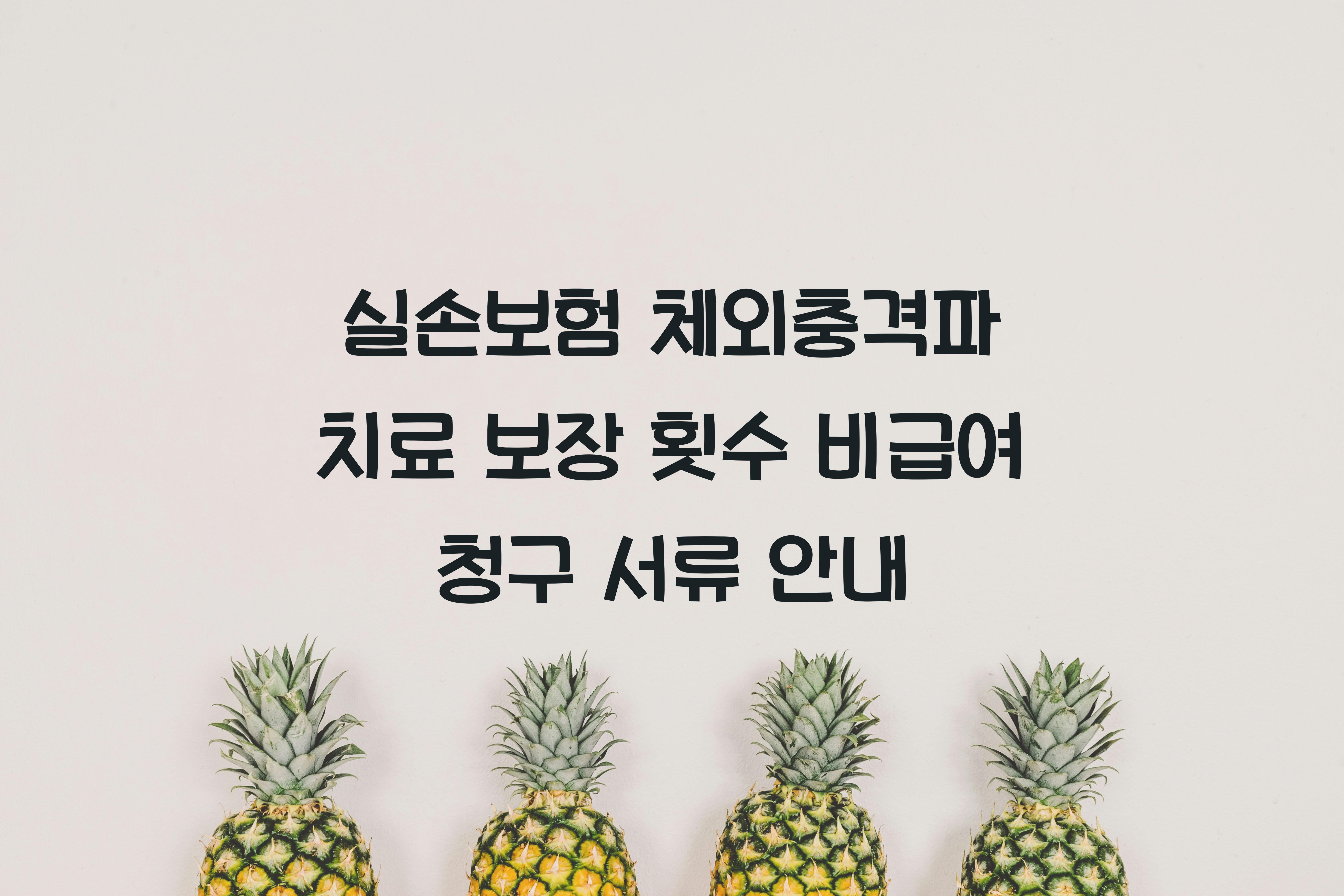 실손보험 체외충격파 치료