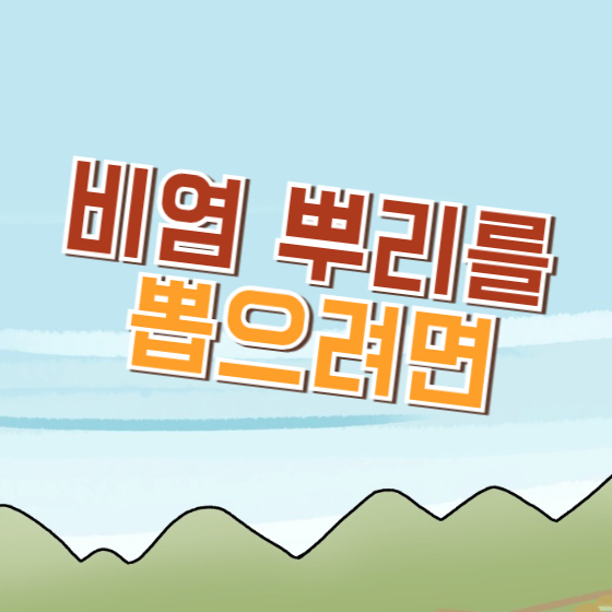 비염 뿌리를 뽑으려면