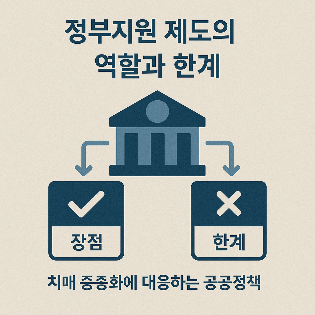 정부지원 제도의 역할과 한계를 나타낸 그레픽