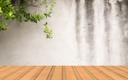 러브버그 퇴치 및 예방법