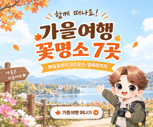 가을여행 꽃명소