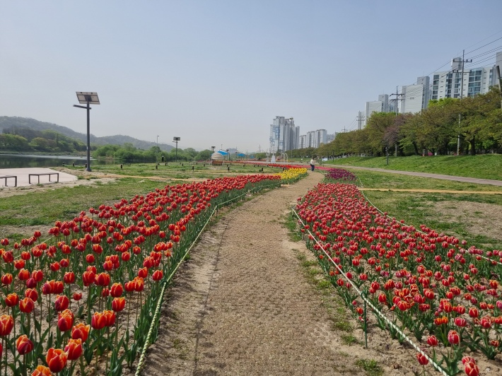 산책로
