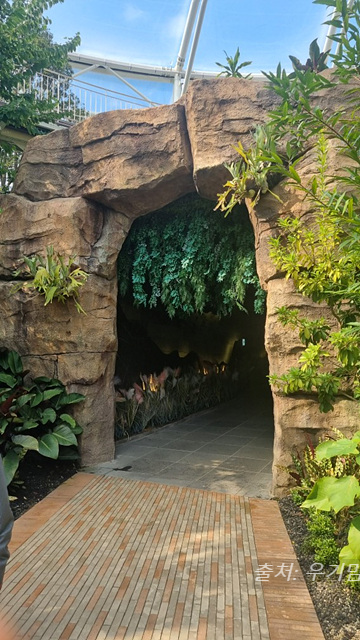 24년 순천만 국가정원 식물원 동문 순천여행