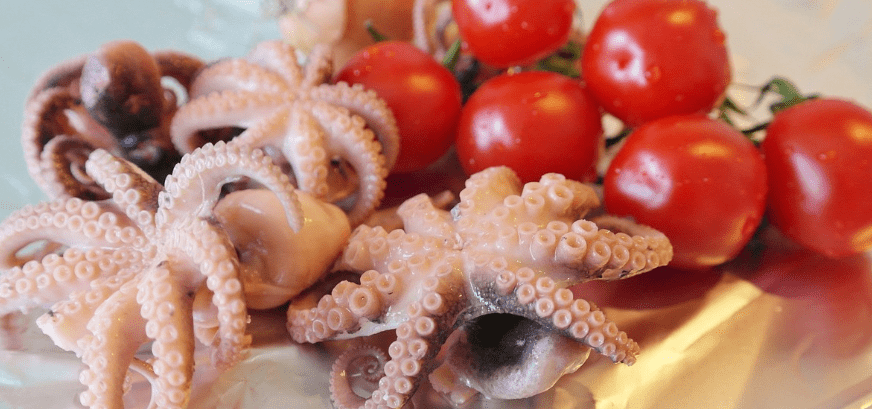 낙지와 낙지 요리 사진 - 10