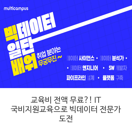빅데이터-전문가