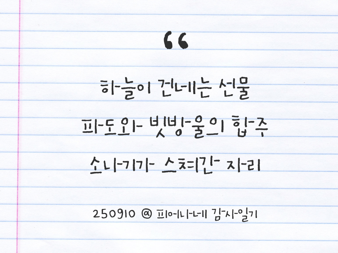 25년 9월 10일 오늘 내 마음 기록하기 감사노트, 감사를 통해 발견한 행복, 오늘 감사한 순간들 by 피어나네 감사일기
