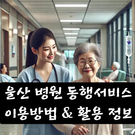 울산 병원 동행서비스 신청 이용방법