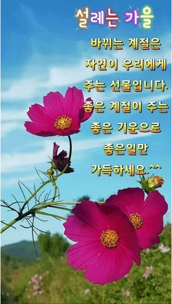 가을 인사말 문구 모음 정리_13