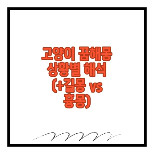 고양이 꿈해몽 상황별 해석 (+길몽 vs 흉몽)