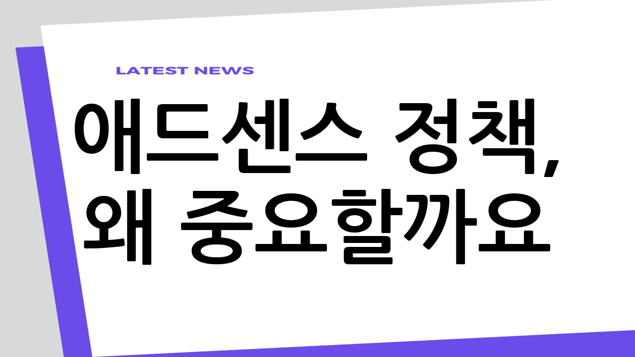 애드센스 정책, 왜