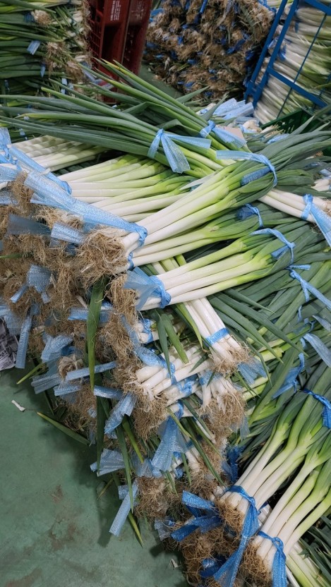 김장김치 양념 담그기