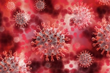 일본감염병 STSS, ,STSS 증상, ,STSS치료, ,STSS 예방