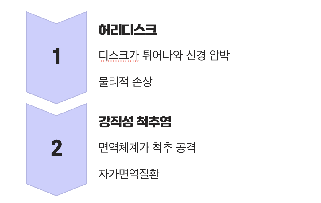 원인부터 달라요, 물리적 손상 vs 염증 반응