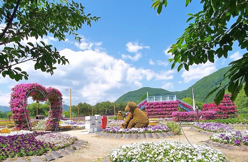 자라섬 꽃축제 입장료 가는길 주차꿀팁(+행사기간)