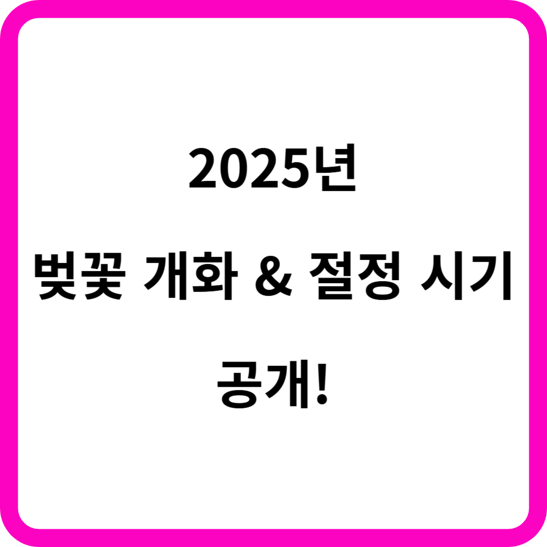 2025년 벚꽃 개화 &amp; 절정 시기 공개!