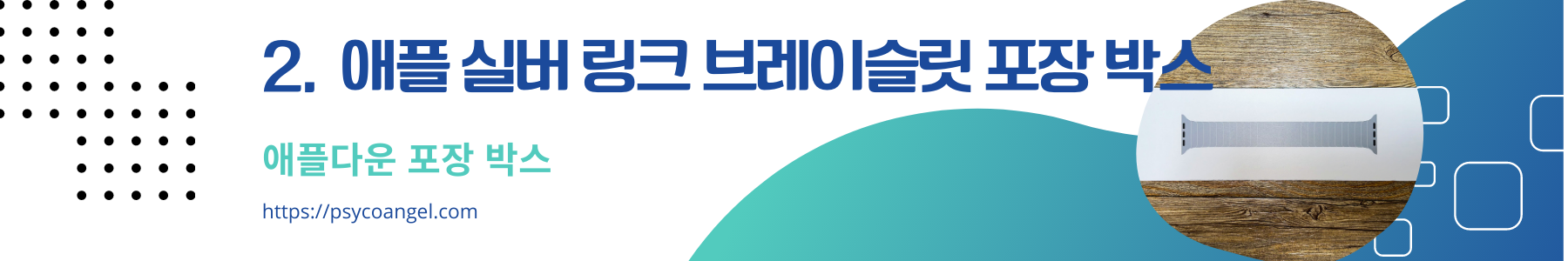 애플 링크 브레이슬릿 타이틀