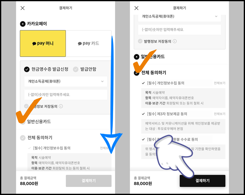 결제 수단 체크 및 이용 약관에 대해 동의한 후 '결제하기' 선택