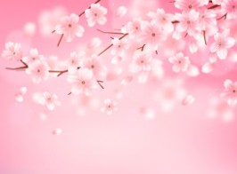 후쿠오카-벚꽃-개화시기-5