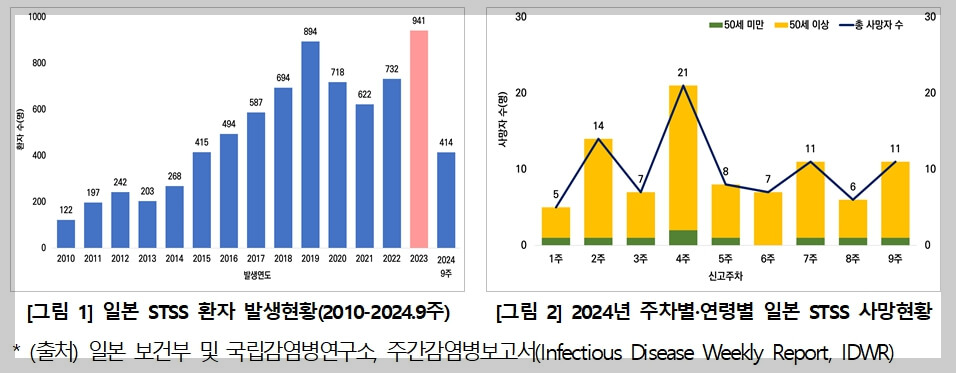 연쇄상구균 독성쇼크증후군(STSS) 치명률