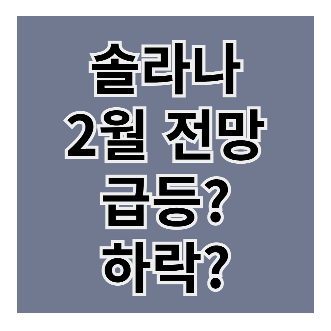 솔라나(Solana) 2025년 2월 전망: 폭등 vs 조정? 전문가 분석