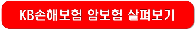KB손해보험-암보험-링크-이미지
