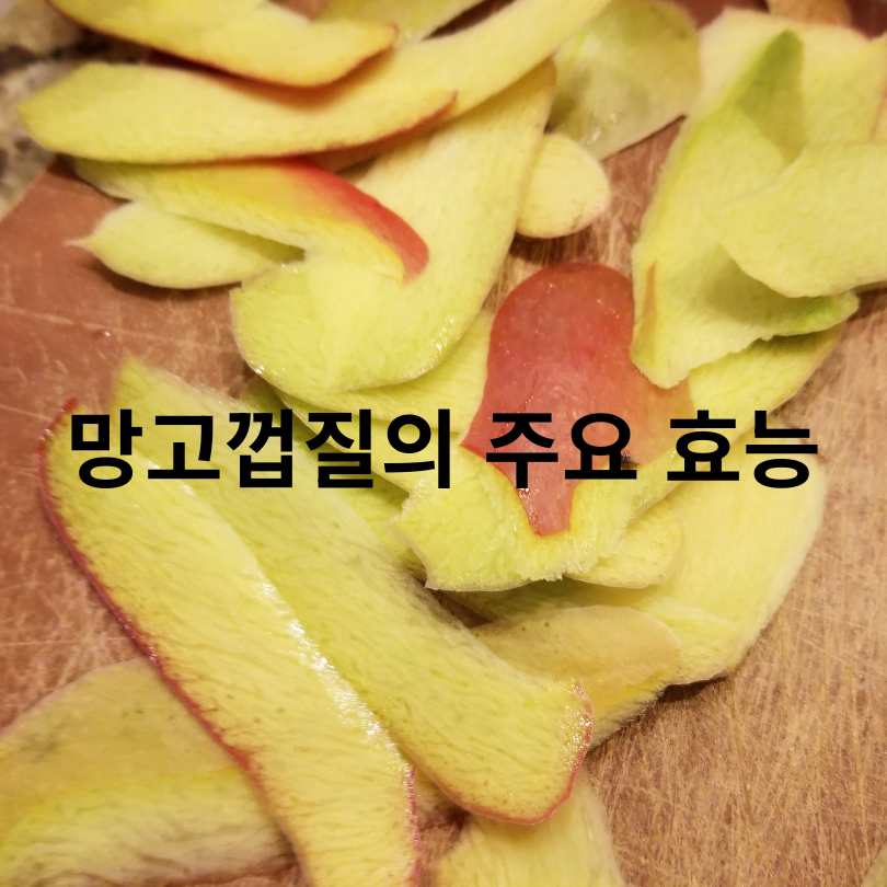 망고껍질 효능과 망고껍질 먹는 방법