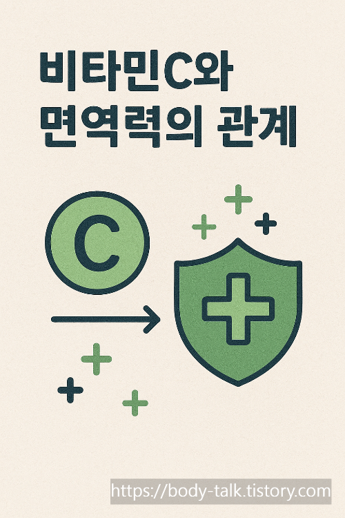 비타민C와 면역력의 관계
