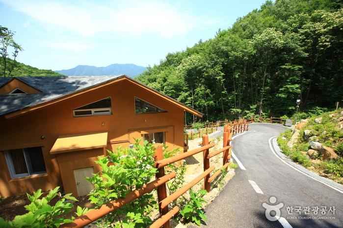 민주지산